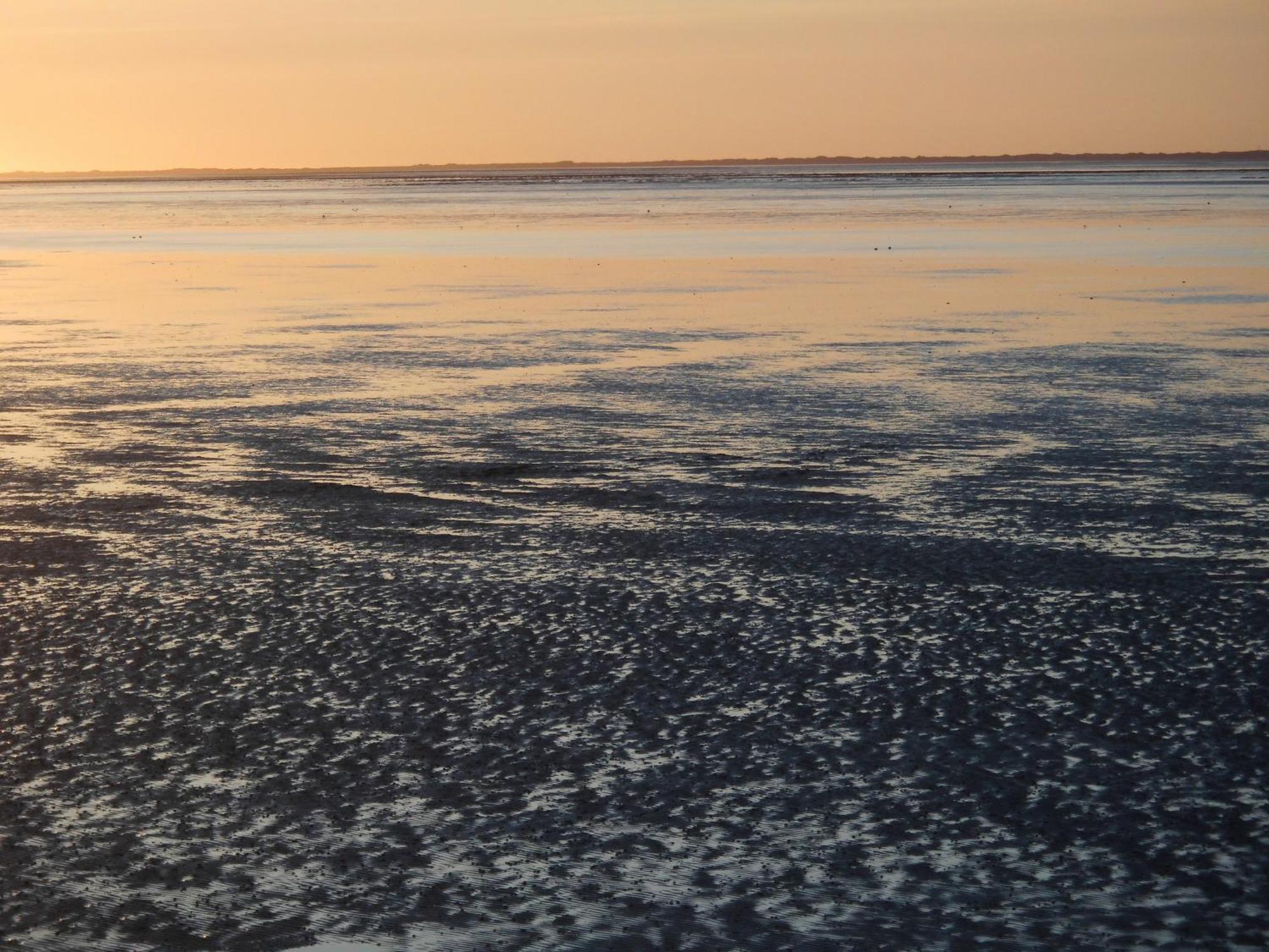 Vila Moewennest Neuharlingersiel Exteriér fotografie