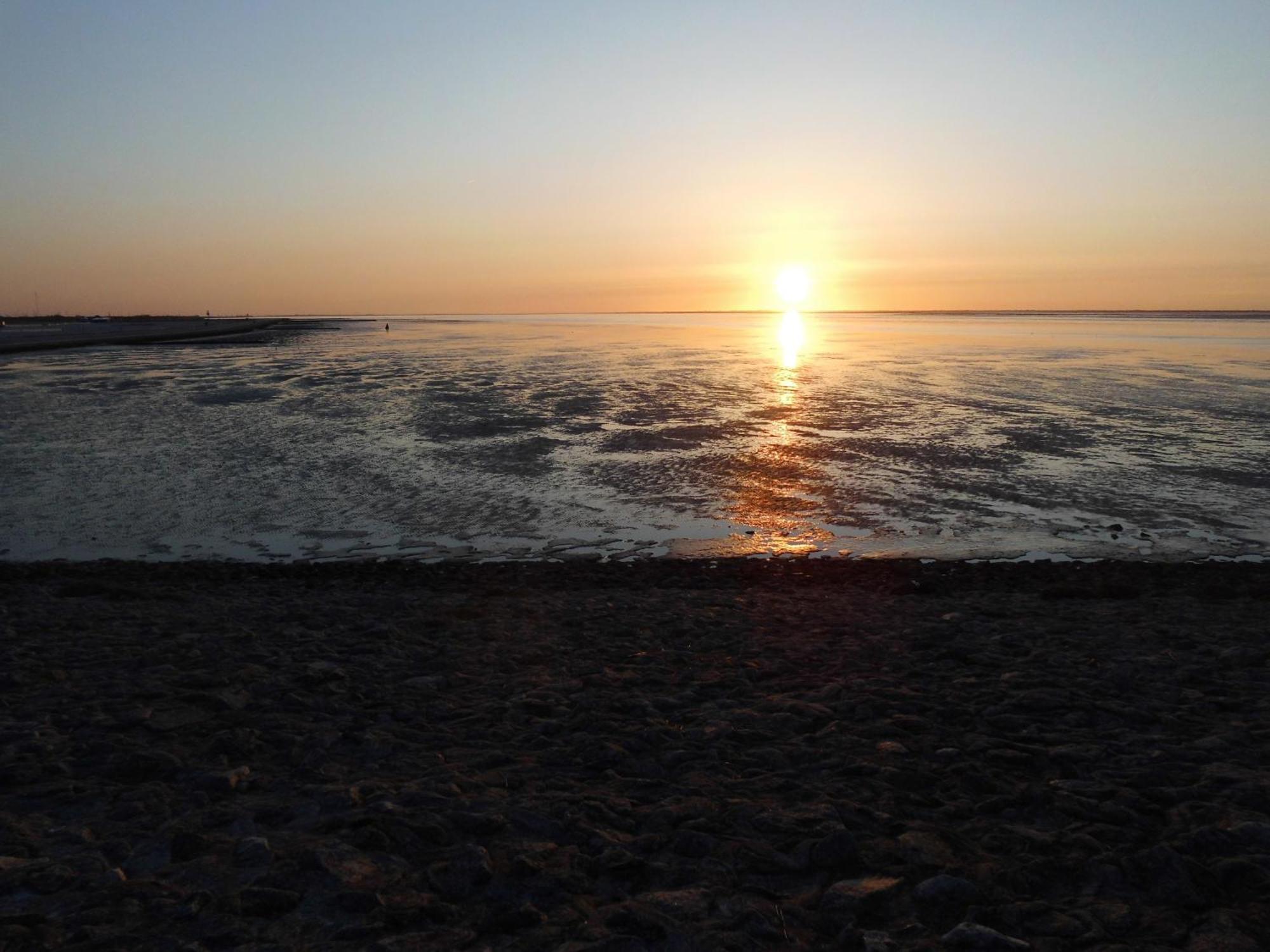 Vila Moewennest Neuharlingersiel Exteriér fotografie