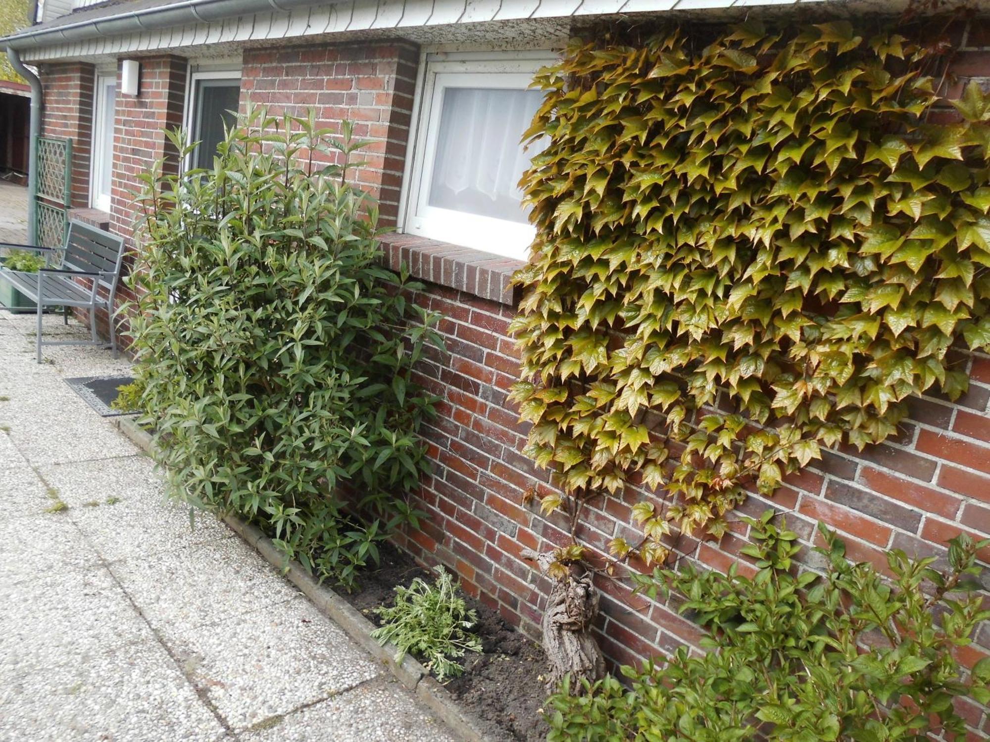 Vila Moewennest Neuharlingersiel Exteriér fotografie